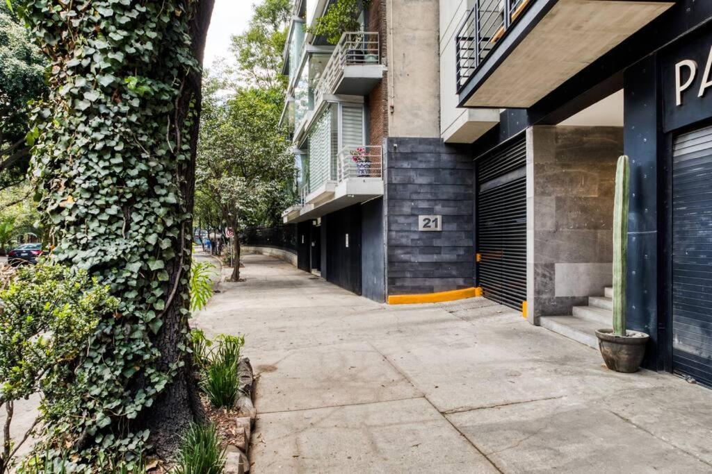 Mr W 2Br Cozy Apartment 103 Μεξικό Εξωτερικό φωτογραφία